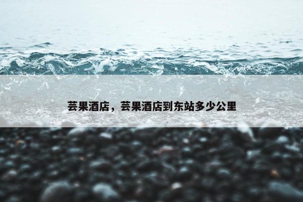 芸果酒店，芸果酒店到东站多少公里
