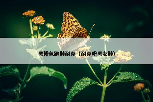 黑粉色跑鞋耐克(耐克粉黑女鞋) 黑粉色跑鞋耐克(耐克粉黑女鞋)