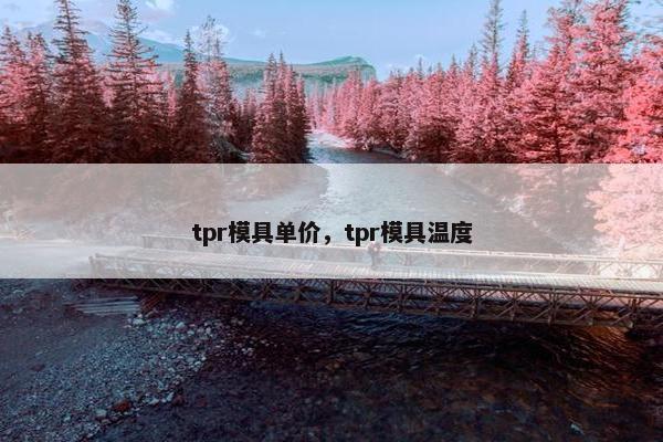 tpr模具单价,tpr模具温度 tpr模具单价,tpr模具温度