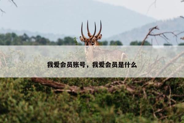 我爱会员账号，我爱会员是什么