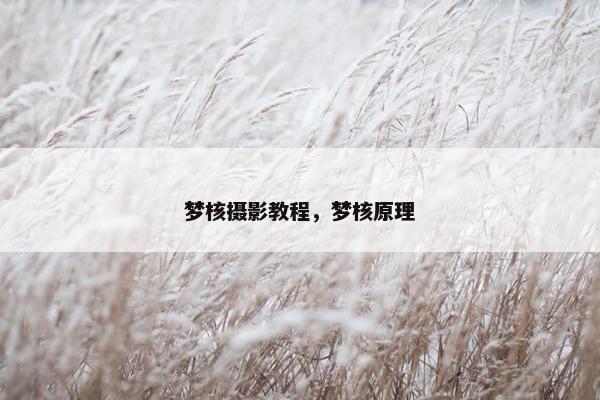 梦核摄影教程,梦核原理 梦核摄影教程,梦核原理
