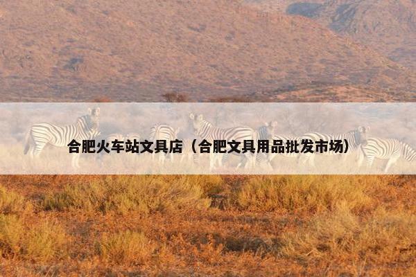 合肥火车站文具店（合肥文具用品批发市场）