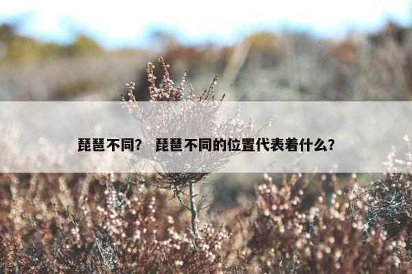 琵琶不同？ 琵琶不同的位置代表着什么？