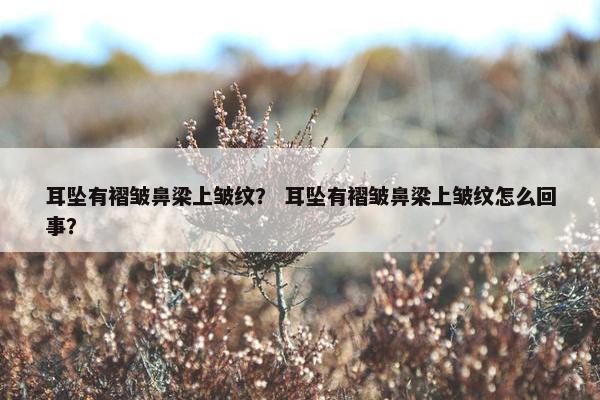 耳坠有褶皱鼻梁上皱纹? 耳坠有褶皱鼻梁上皱纹怎么回事? 耳坠有褶皱鼻梁上皱纹? 耳坠有褶皱鼻梁上皱纹怎么回事?