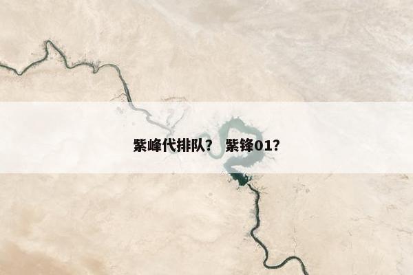 紫峰代排队? 紫锋01? 紫峰代排队? 紫锋01?