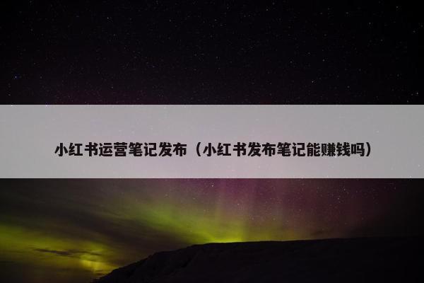 小红书运营笔记发布（小红书发布笔记能赚钱吗）