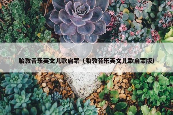 胎教音乐英文儿歌启蒙(胎教音乐英文儿歌启蒙版) 胎教音乐英文儿歌启蒙(胎教音乐英文儿歌启蒙版)