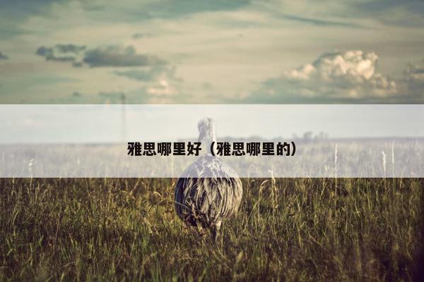 雅思哪里好(雅思哪里的) 雅思哪里好(雅思哪里的)