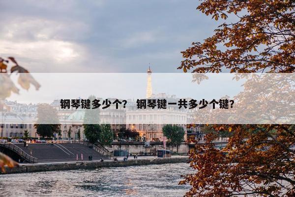 钢琴键多少个? 钢琴键一共多少个键? 钢琴键多少个? 钢琴键一共多少个键?