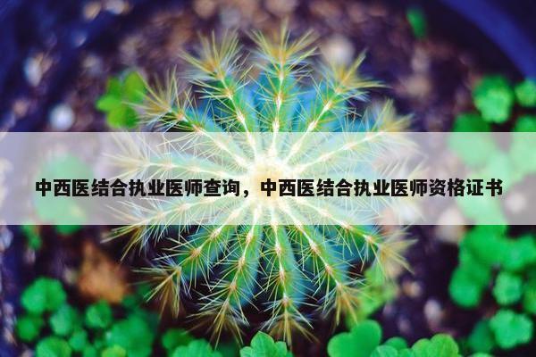 中西医结合执业医师查询,中西医结合执业医师资格证书 中西医结合执业医师查询,中西医结合执业医师资格证书