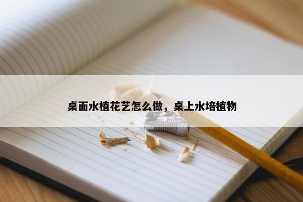 桌面水植花艺怎么做,桌上水培植物 桌面水植花艺怎么做,桌上水培植物