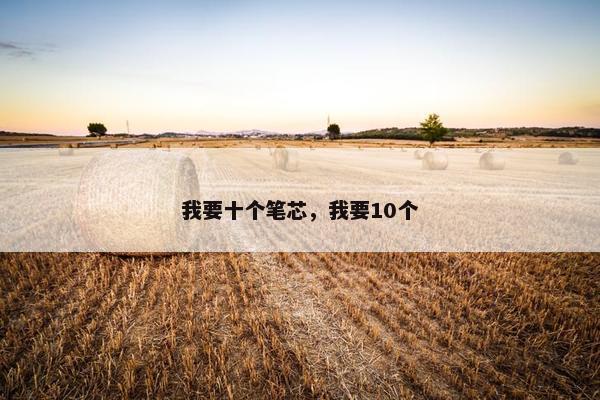 我要十个笔芯,我要10个 我要十个笔芯,我要10个