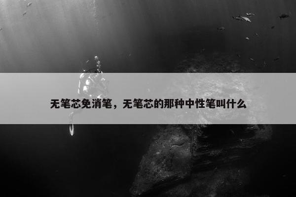 无笔芯免消笔,无笔芯的那种中性笔叫什么 无笔芯免消笔,无笔芯的那种中性笔叫什么