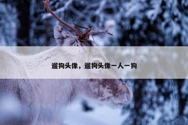遛狗头像，遛狗头像一人一狗
