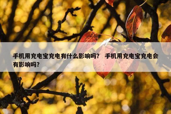 手机用充电宝充电有什么影响吗？ 手机用充电宝充电会有影响吗？