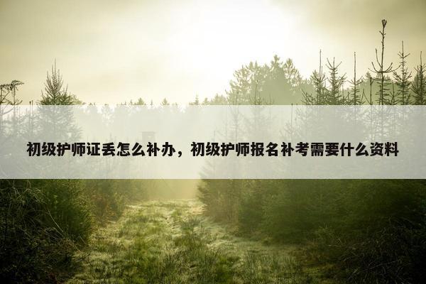 初级护师证丢怎么补办,初级护师报名补考需要什么资料 初级护师证丢怎么补办,初级护师报名补考需要什么资料