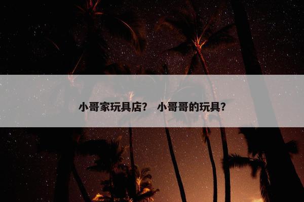小哥家玩具店? 小哥哥的玩具? 小哥家玩具店? 小哥哥的玩具?