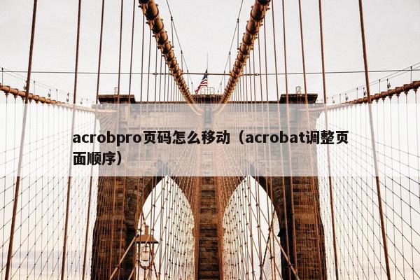 acrobpro页码怎么移动（acrobat调整页面顺序）
