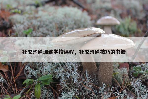 社交沟通训练学校课程，社交沟通技巧的书籍