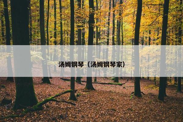 汤姆钢琴（汤姆钢琴家）
