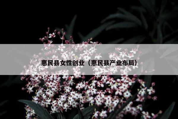 惠民县女性创业(惠民县产业布局) 惠民县女性创业(惠民县产业布局)
