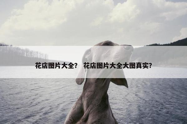 花店图片大全? 花店图片大全大图真实? 花店图片大全? 花店图片大全大图真实?