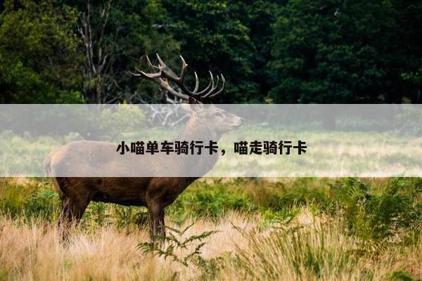 小喵单车骑行卡，喵走骑行卡