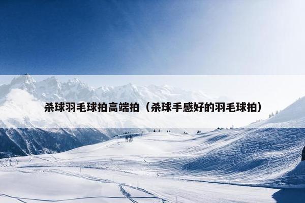 杀球羽毛球拍高端拍(杀球手感好的羽毛球拍) 杀球羽毛球拍高端拍(杀球手感好的羽毛球拍)