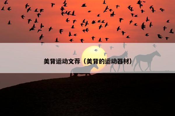 美背运动文荐(美背的运动器材) 美背运动文荐(美背的运动器材)