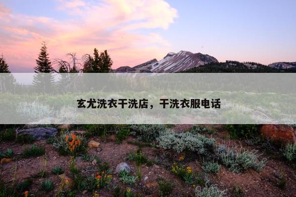 玄尤洗衣干洗店,干洗衣服电话 玄尤洗衣干洗店,干洗衣服电话
