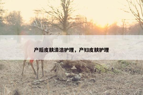 产后皮肤清洁护理,产妇皮肤护理 产后皮肤清洁护理,产妇皮肤护理