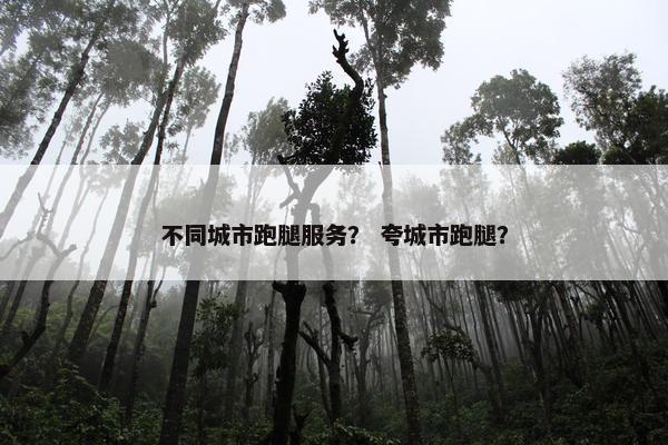 不同城市跑腿服务? 夸城市跑腿? 不同城市跑腿服务? 夸城市跑腿?