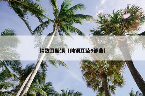 精致耳坠银(纯银耳坠5部曲) 精致耳坠银(纯银耳坠5部曲)