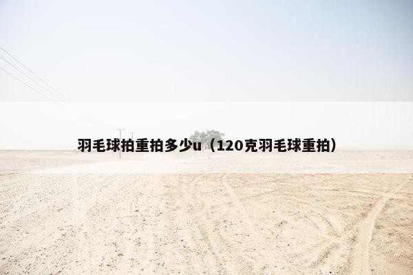 羽毛球拍重拍多少u(120克羽毛球重拍) 羽毛球拍重拍多少u(120克羽毛球重拍)