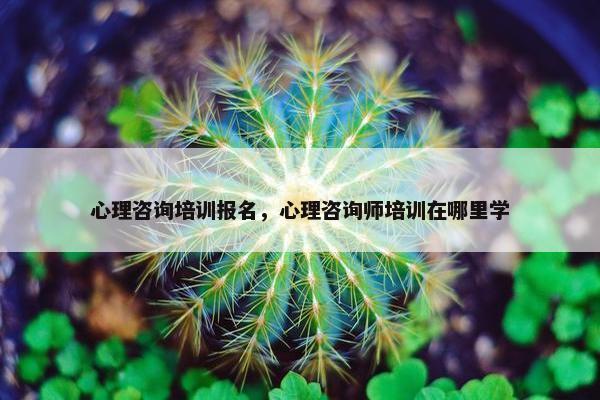 心理咨询培训报名，心理咨询师培训在哪里学