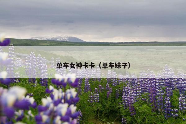 单车女神卡卡（单车妹子）