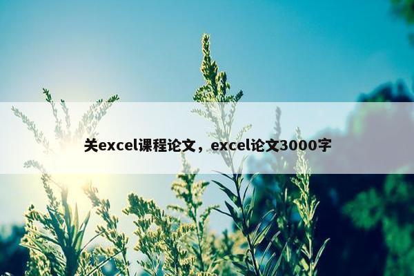 关excel课程论文，excel论文3000字