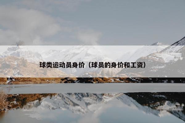 球类运动员身价（球员的身价和工资）