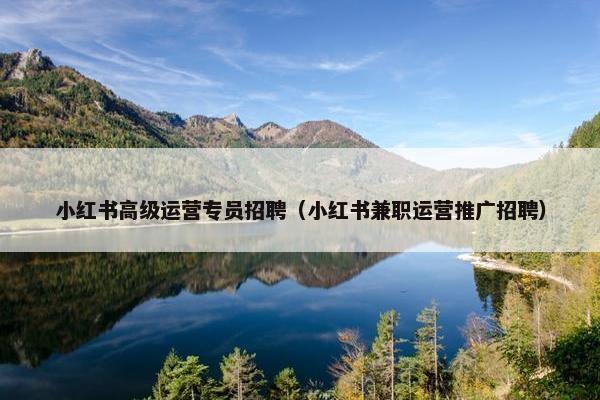 小红书高级运营专员招聘（小红书兼职运营推广招聘）