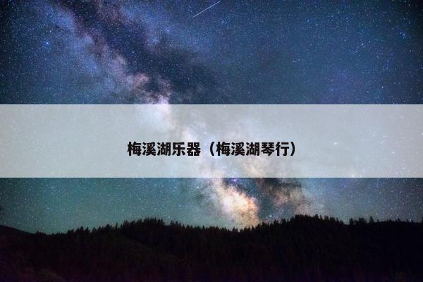 梅溪湖乐器（梅溪湖琴行）