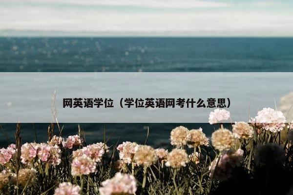 网英语学位(学位英语网考什么意思) 网英语学位(学位英语网考什么意思)