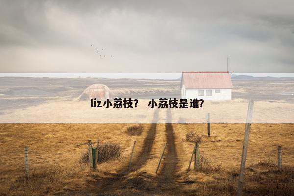 liz小荔枝? 小荔枝是谁? liz小荔枝? 小荔枝是谁?