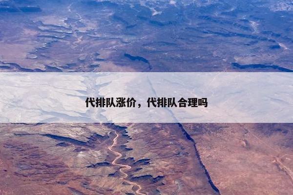 代排队涨价，代排队合理吗