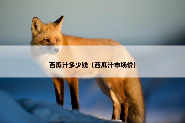 西瓜汁多少钱(西瓜汁市场价) 西瓜汁多少钱(西瓜汁市场价)