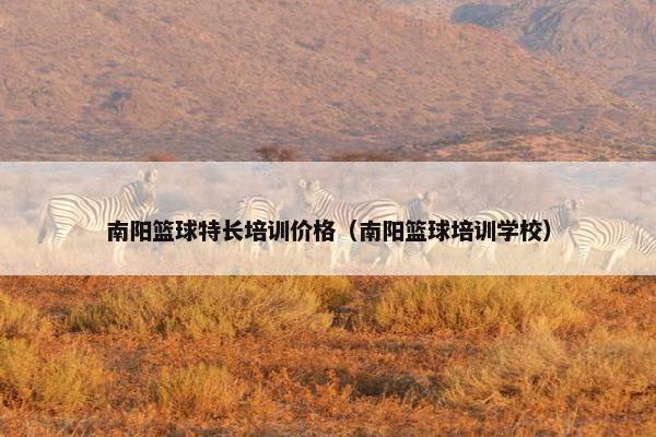 南阳篮球特长培训价格（南阳篮球培训学校）