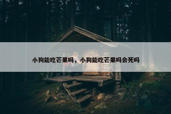 小狗能吃芒果吗,小狗能吃芒果吗会死吗 小狗能吃芒果吗,小狗能吃芒果吗会死吗