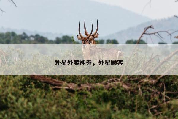 外星外卖神券,外星顾客 外星外卖神券,外星顾客