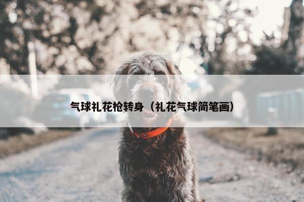 气球礼花枪转身（礼花气球简笔画）