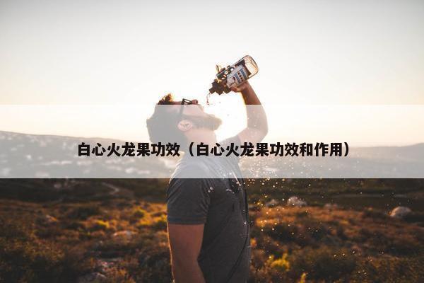 白心火龙果功效(白心火龙果功效和作用) 白心火龙果功效(白心火龙果功效和作用)