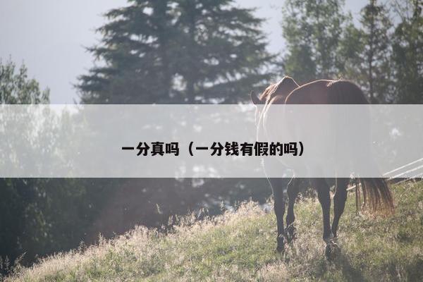 一分真吗（一分钱有假的吗）